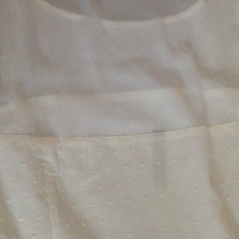 ⭐️ Firm Price ⭐️ White Dress with Swiss polka dots - Picture 8 of 12